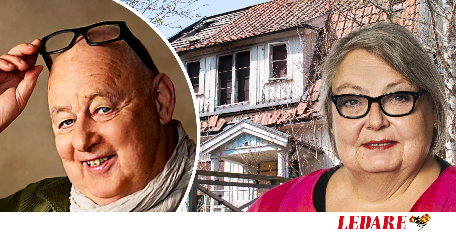 Hemnetporr räddar inte landsbygden