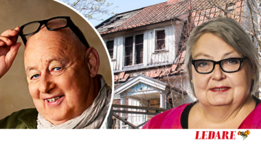 Hemnetporr räddar inte landsbygden