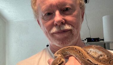 Stefan tar hand om de förrymda ormarna: ”Utsläppta samtidigt” | Sverige