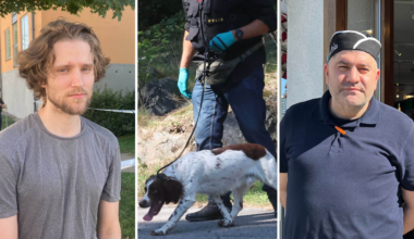 Misstänkt skjutning i Mariehäll i västra Stockholm