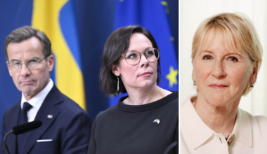Sverige uppfattas som
skakigt och ängsligt