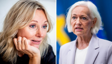 Jessica Stegrud (SD) sågar regeringens linje om patienter från Gaza