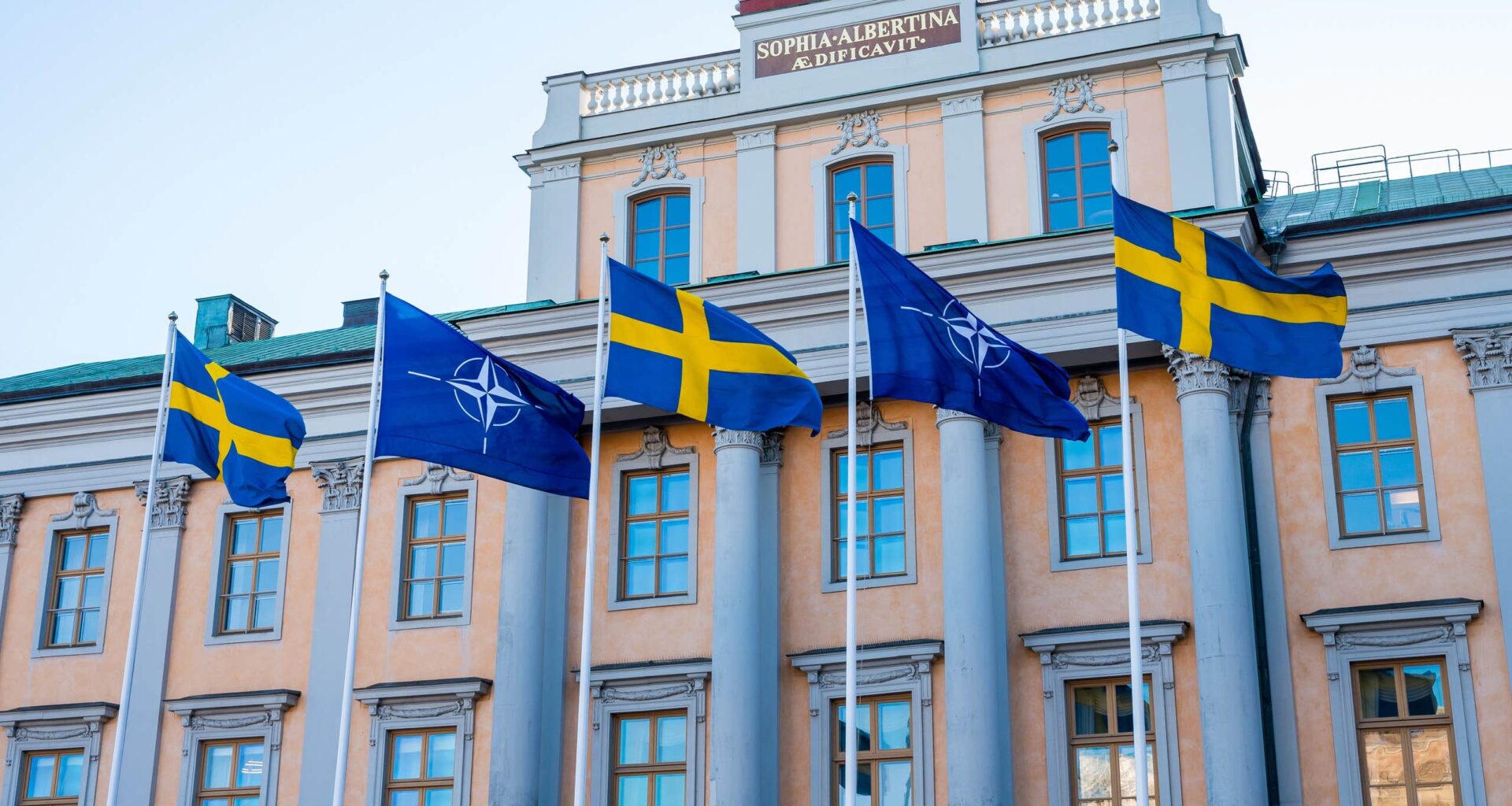 Mer svenskt blod behövs till Nato | Sverige