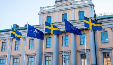 Mer svenskt blod behövs till Nato | Sverige