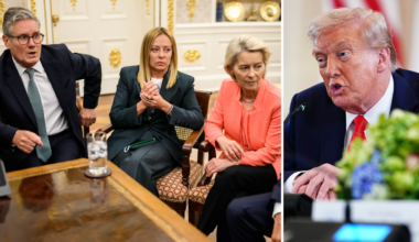 USA:s roll för Ukrainas säkerhet blir ”minimal” | Världen