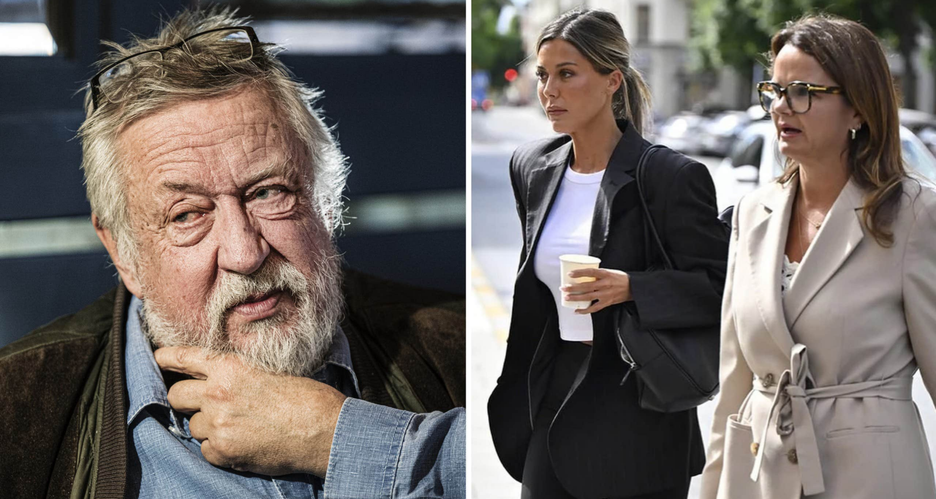 Leif GW Persson om domen mot Bianca Ingrossos stalker