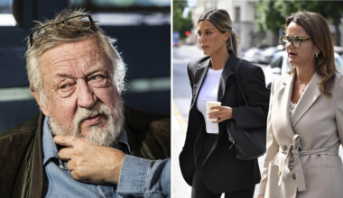 Leif GW Persson om domen mot Bianca Ingrossos stalker