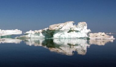 Isarna smältar långsammare – beror på naturliga variationer