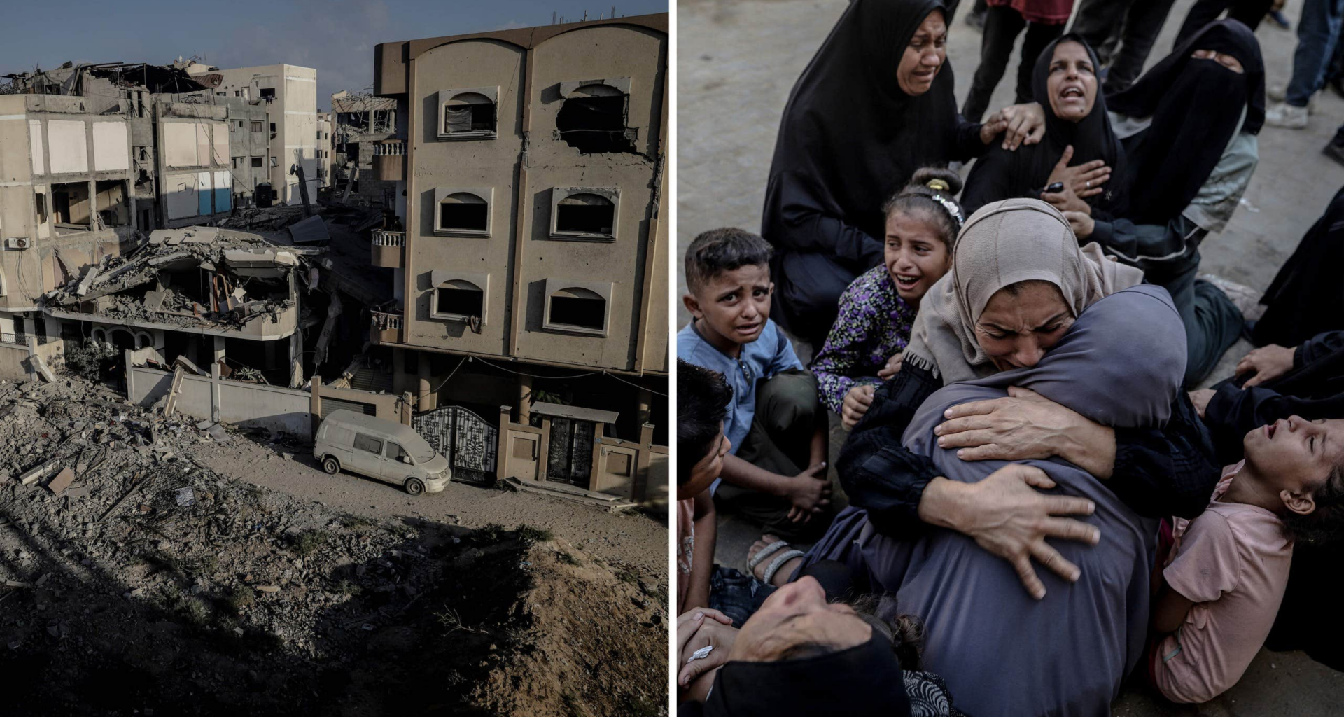 Gaza city svält och vilda hundar efter kriget