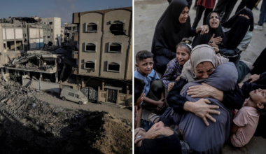 Gaza city svält och vilda hundar efter kriget
