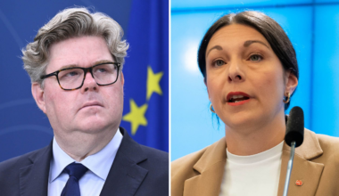 Carvalhos kritik mot Strömmer om gängvåldet