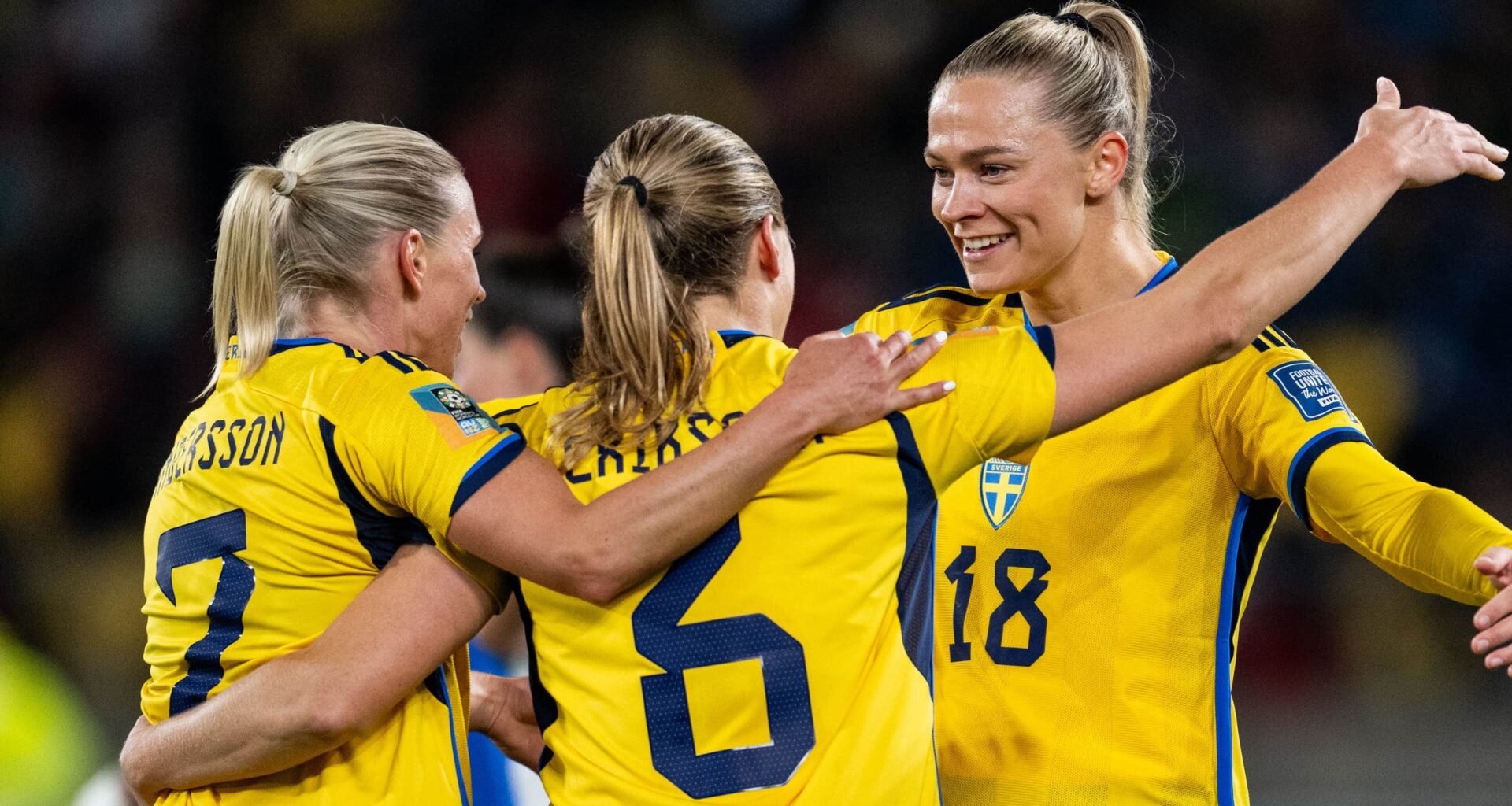 TV4 och SVT delar på fotbolls-VM i Brasilien | Fotboll