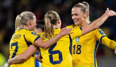 TV4 och SVT delar på fotbolls-VM i Brasilien | Fotboll