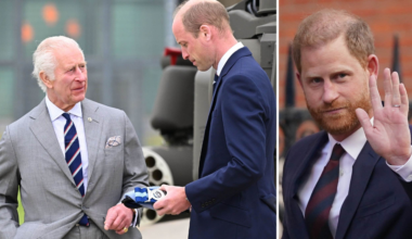 Prins Harry och kung Charles i fredsmöte – William nobbar