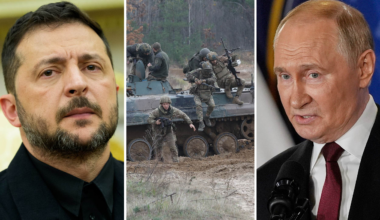 Nato-strategin: Våtmarker ska stoppa Ryssland