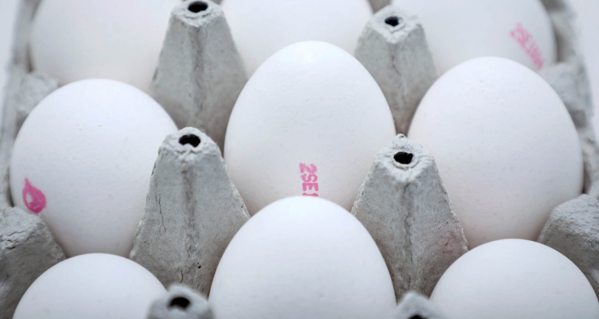 Axfood återkallar ägg – kan innehålla salmonella