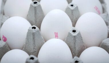 Axfood återkallar ägg – kan innehålla salmonella