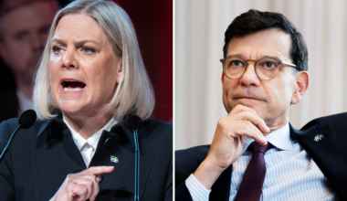 Andersson: Onödigt med en säkerhetsrådgivare