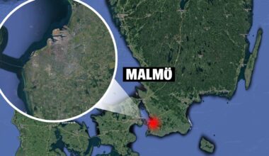 Fårhuvud hittat utanför företag i Malmö