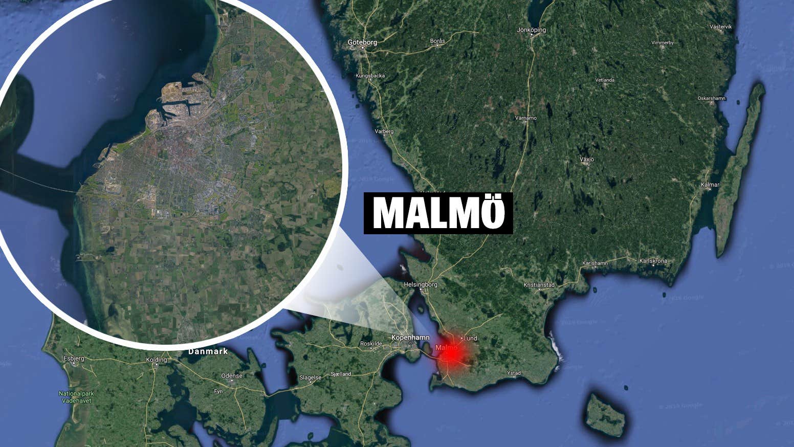 Fårhuvud hittat utanför företag i Malmö
