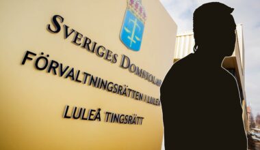 Larmet från sonen: ”Tror jag mördat min mamma” | Krim