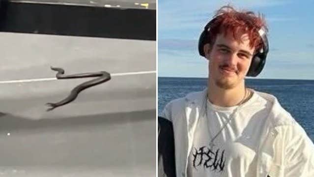 Isak upptäckte orm på gymmet: ”Hjärtat i halsgropen”