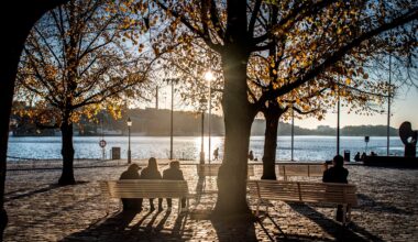 Värmen gör comeback
– kan bli 25 grader | Väder