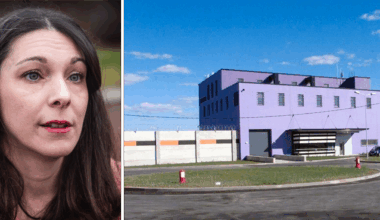 S öppnar för att skicka svenska fångar utomlands