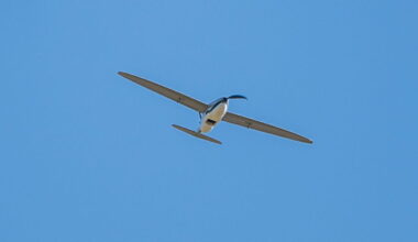 Vaksamma fåglar avslöjar fienden - Försvarsmakten