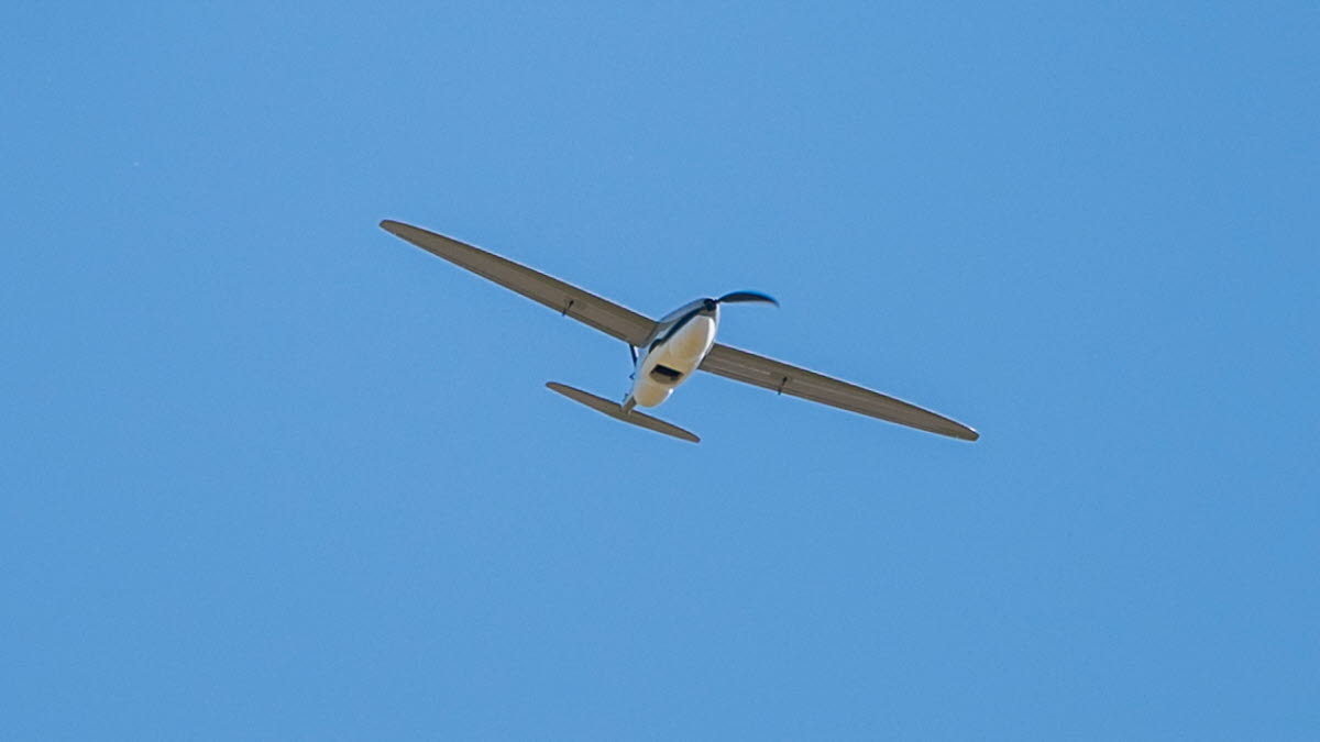 Vaksamma fåglar avslöjar fienden - Försvarsmakten