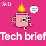 113. Tusentals miljarder dollar upp i rök + Varför är folk så arga på Klarna-Sebastian?