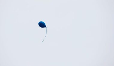 Ballong stoppade all tågtrafik genom Malmö