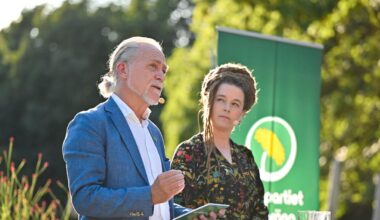 Regeringen har helt fel om skogen
