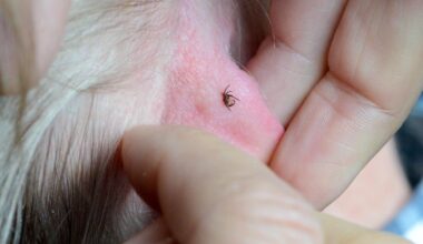 Sjukaste smärtan – ville ut ur kroppen