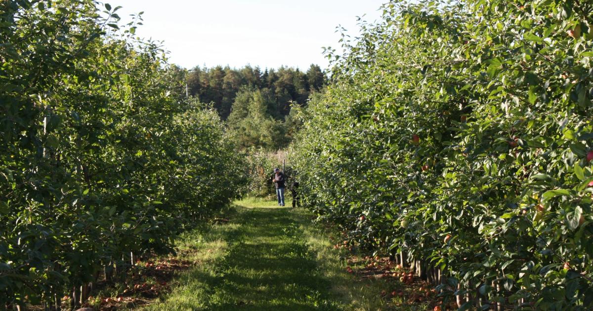 Hushållningssällskapet uppdaterar sitt vädersystem - Ålands Radio & TV