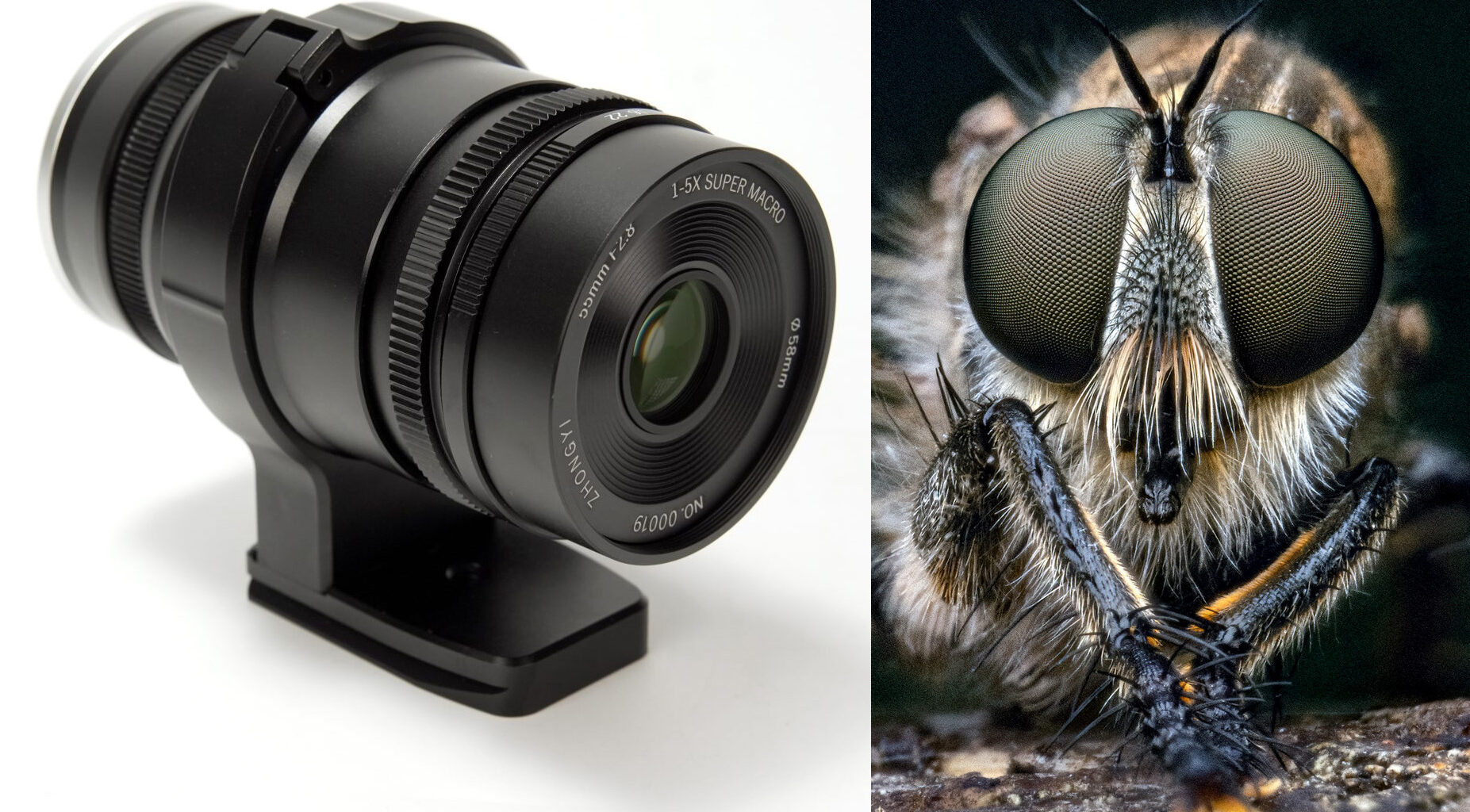 Mitakon 55 mm f/2,8 1–5X Macro ger 5 gångers förstoring