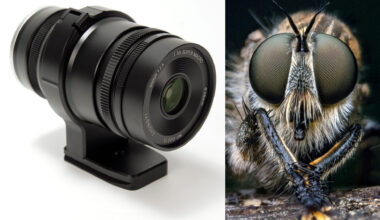 Mitakon 55 mm f/2,8 1–5X Macro ger 5 gångers förstoring