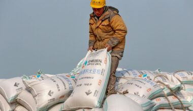 Kina bör fyrfaldiga import av amerikansk soja