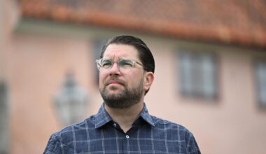 SD har fått igenom sänkt matmoms