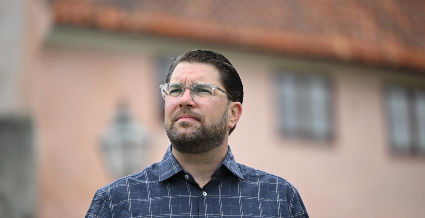 SD har fått igenom sänkt matmoms