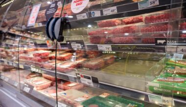 Köttbrist kan fortsätta i flera år framåt