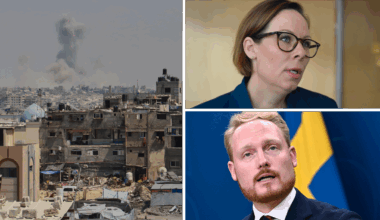Efter Israelbråket – SD vill se samordnad utrikespolitik