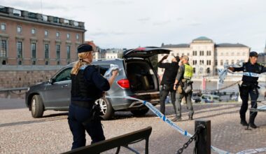 Man i 80-årsåldern anhållen efter dödsolycka vid slottet