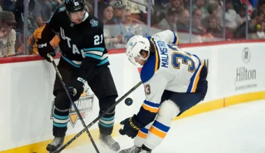 De värvar AHL-svensken - hockeysverige.se