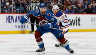 Uppgifter: Brynäs jagar NHL-backen - hockeysverige.se