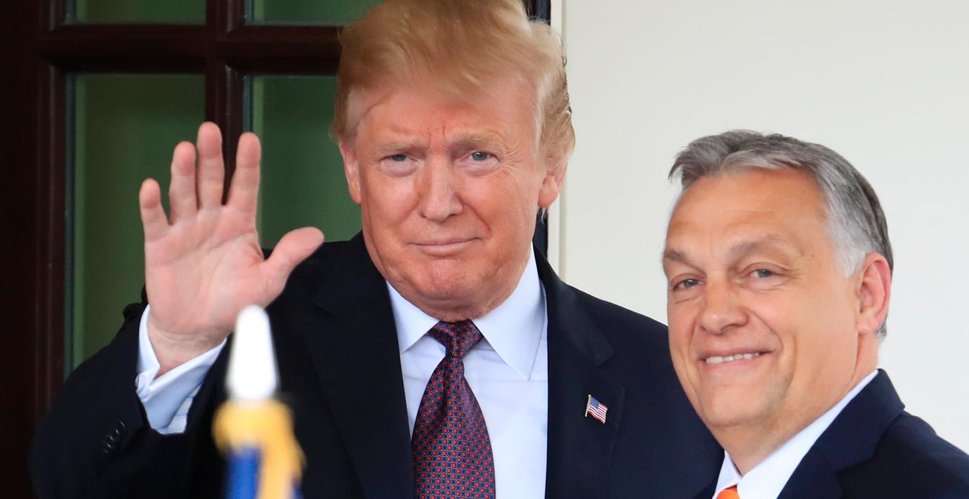 Trump ringde Orbán om ukrainskt EU-medlemskap