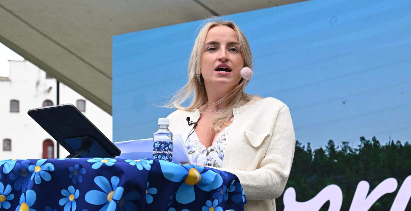 SD:s ungdomsförbund: För skambelagt med hemmafruar