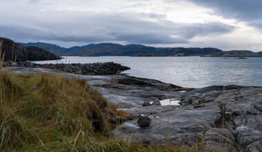 ”Ville inte delta i krig”