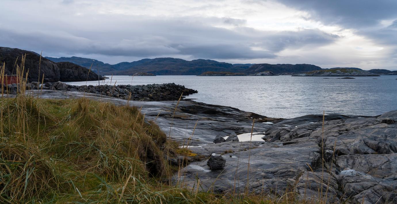 ”Ville inte delta i krig”