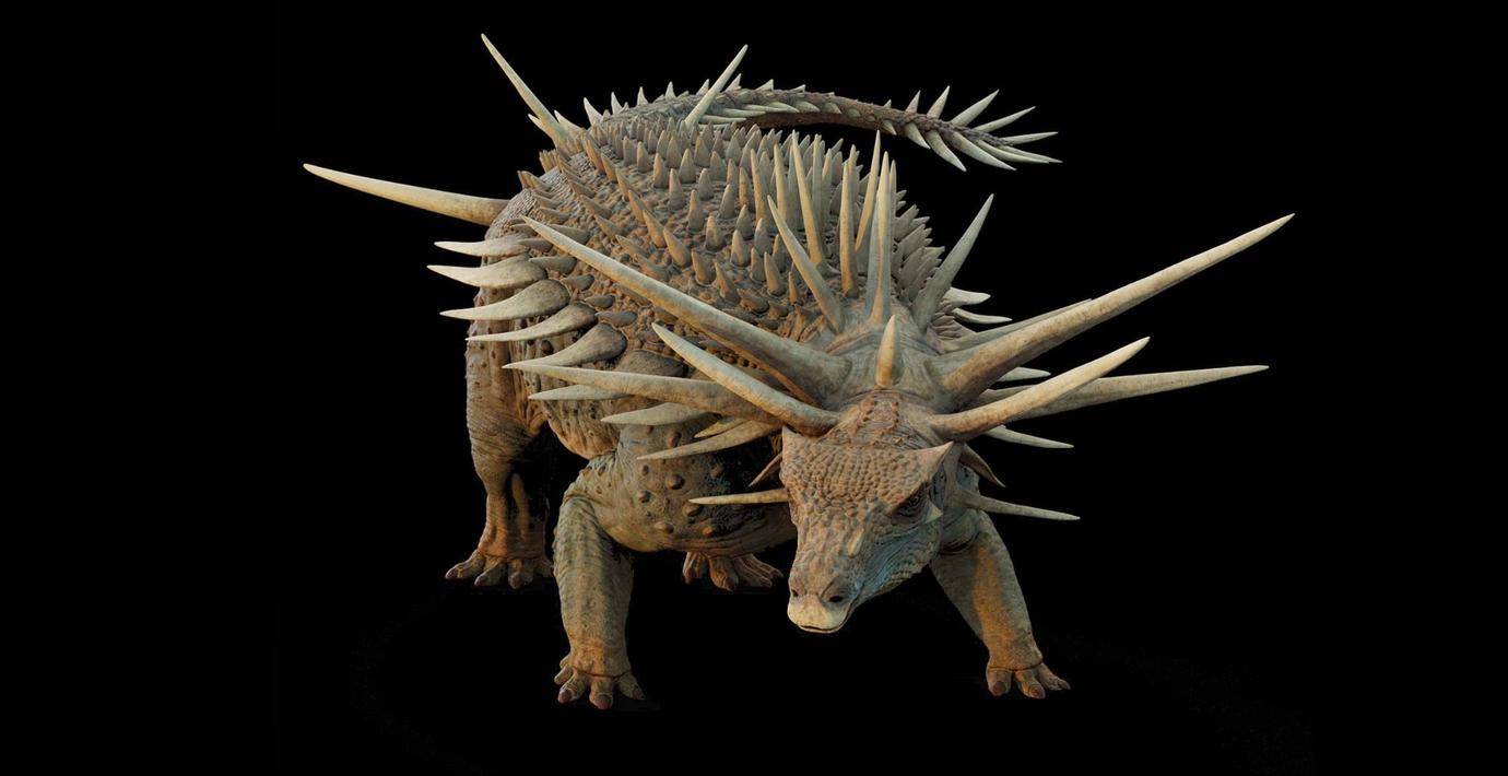 Dinosauriens unika taggar förbryllar forskarna